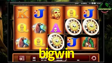 Descubra a Magia dos Jogos de Arcade no bigwin